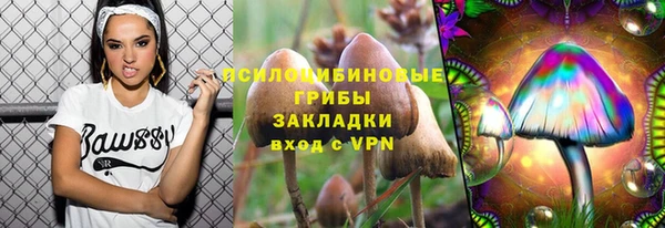 2c-b Балахна