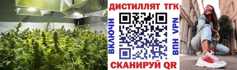 что такое наркотик  дарк нет состав  Дистиллят ТГК THC oil  Певек 